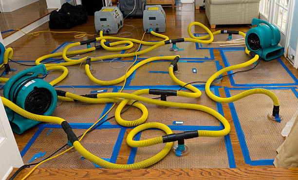 Professional Crawl Space Water Removal technician working in Abington, MA